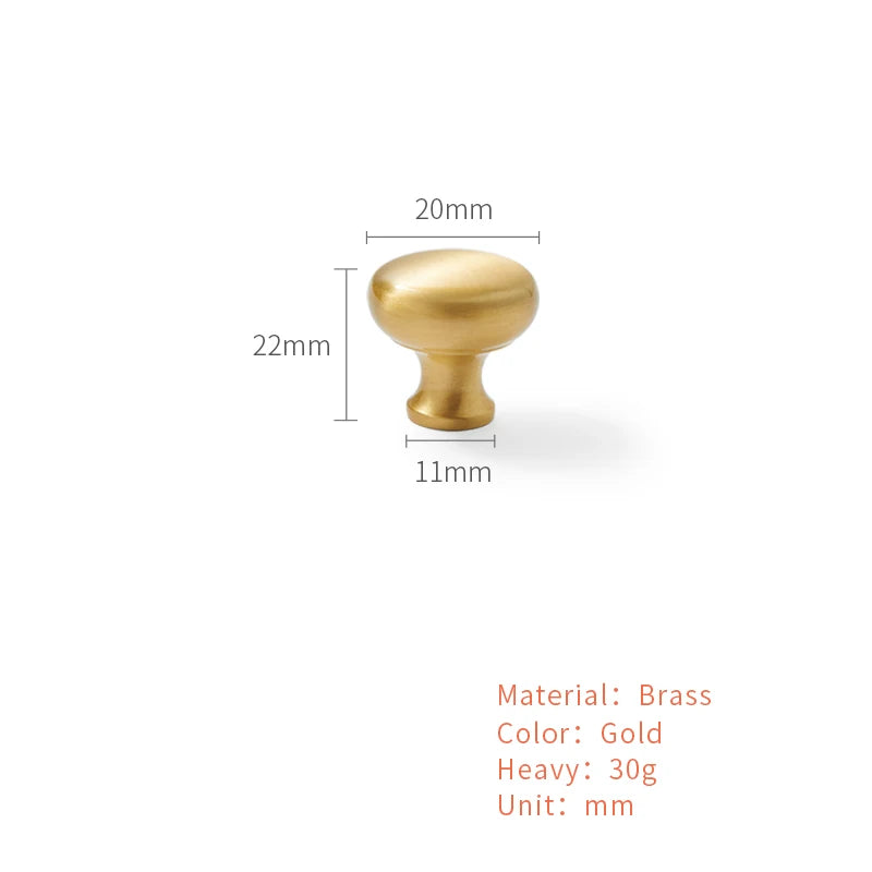 Brass Kitchen Furniture Handles Cupboard Cabinet Door Handle Wardrobe Shoe Cabinet Pulls Shell Golden Drawer Knob Nordic